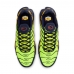 Nike Air Max Plus 'Lemon Venom' DM0032-701
