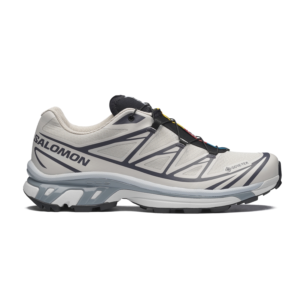 Salomon XT-6 GTX 'Silver Cloud / Black' L49201400