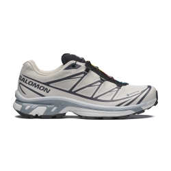 Salomon XT-6 GTX 'Silver Cloud / Black'