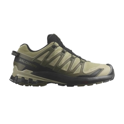 Salomon XA Pro 3D V9 Gore-Tex 'Dried Herb Black'