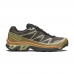 Salomon XT-6 GTX 'Delicioso Tea' L49202100