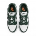 Nike Dunk Low 'Michigan State' DD1391-101