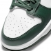 Nike Dunk Low 'Michigan State' DD1391-101