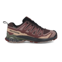 Salomon XA Pro 3D V9 Gore-Tex 'Coffee Rum Raisin'