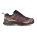Salomon XA Pro 3D V9 Gore-Tex 'Coffee Rum Raisin' L47583500