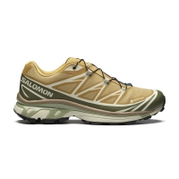 Salomon XT-6 GTX 'Antelope Portabella'