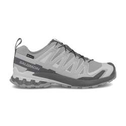 Salomon XA Pro 3D V9 Gore-Tex 'Castlerock'