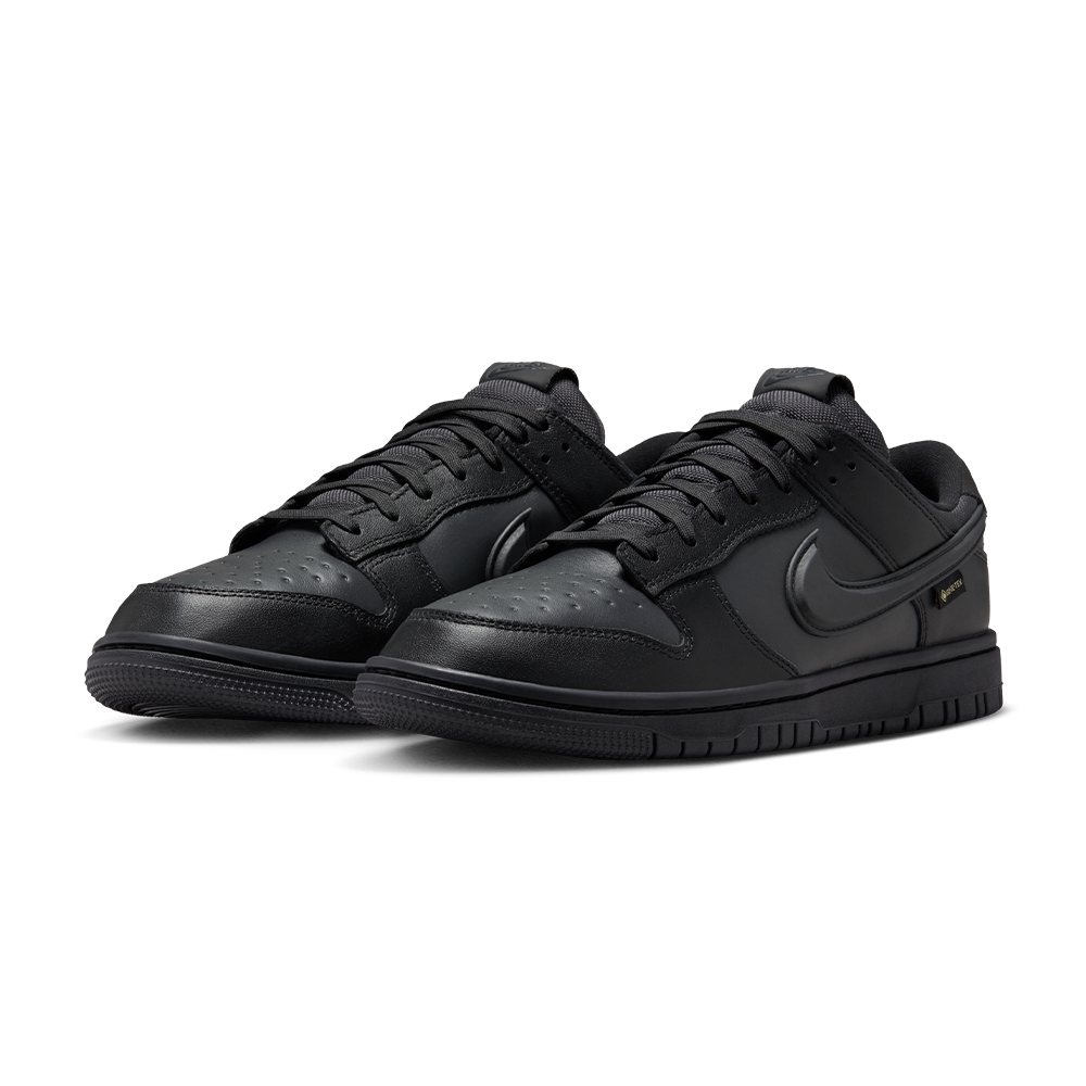 Nike Dunk Low Gore-Tex 'Triple Black' HQ2053-001