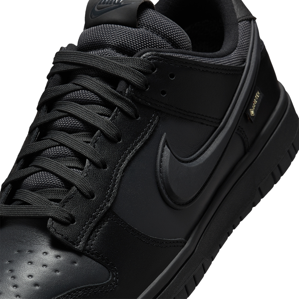 Nike Dunk Low Gore-Tex 'Triple Black' HQ2053-001