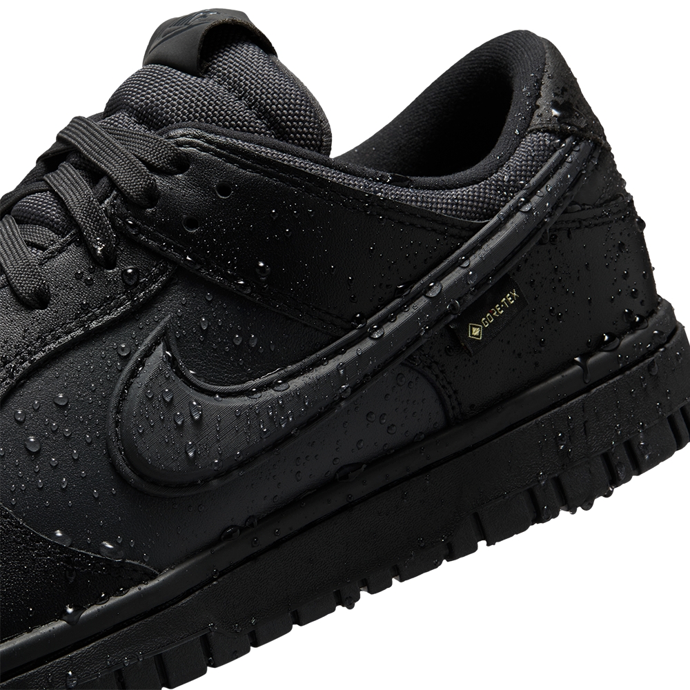 Nike Dunk Low Gore-Tex 'Triple Black' HQ2053-001