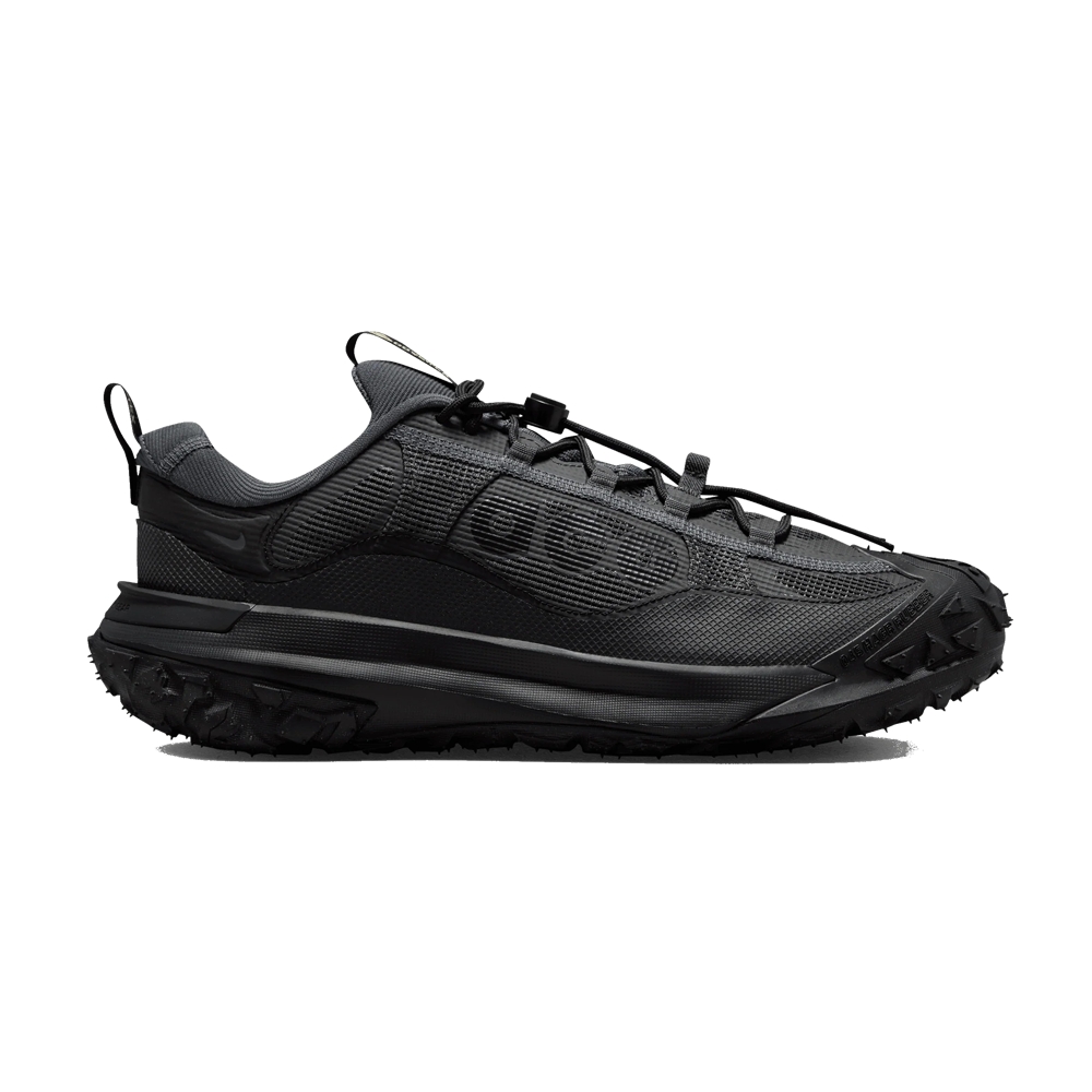 Nike ACG Mountain Fly 2 Low Gore-Tex 'Black'