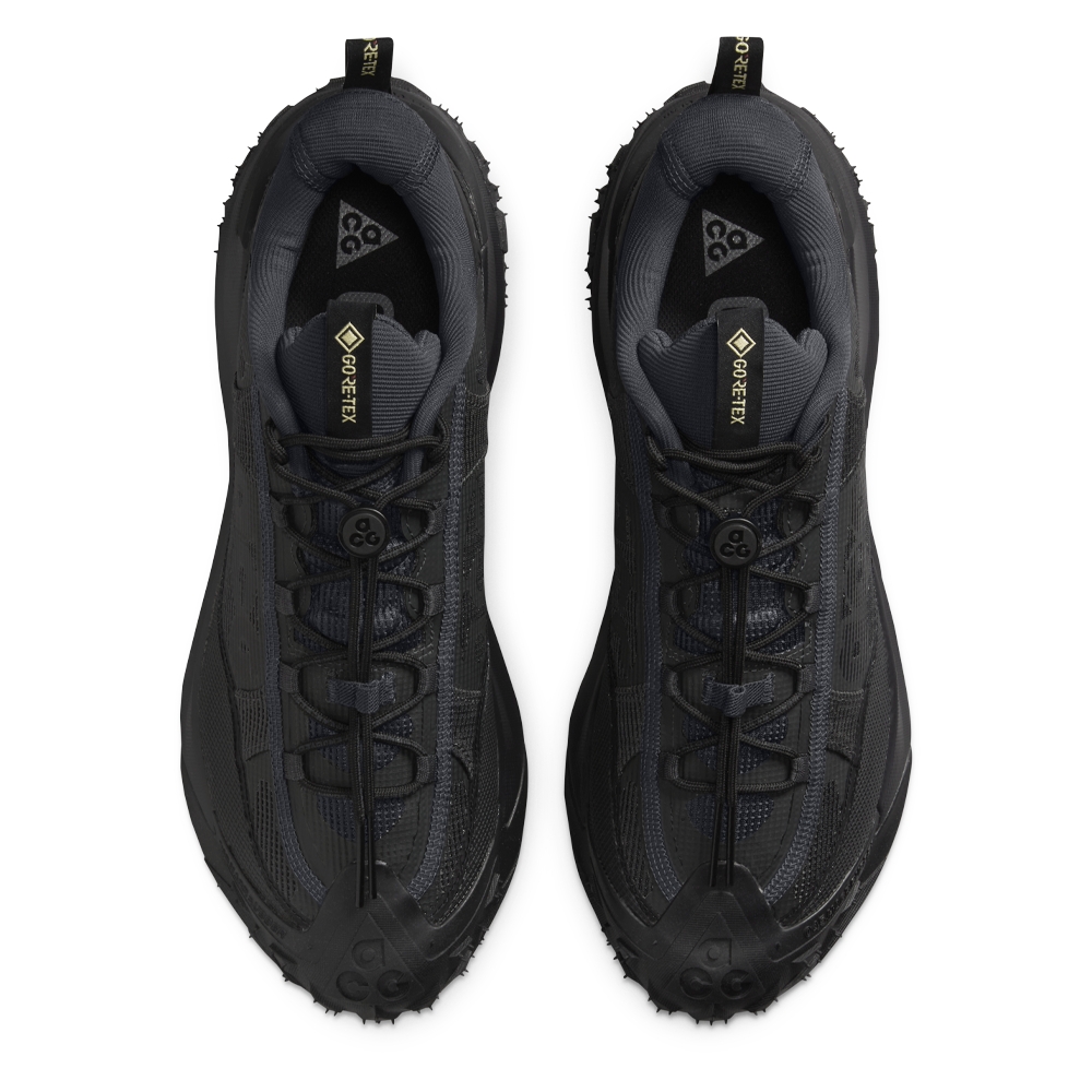 Nike ACG Mountain Fly 2 Low Gore-Tex 'Black' HF6245-001