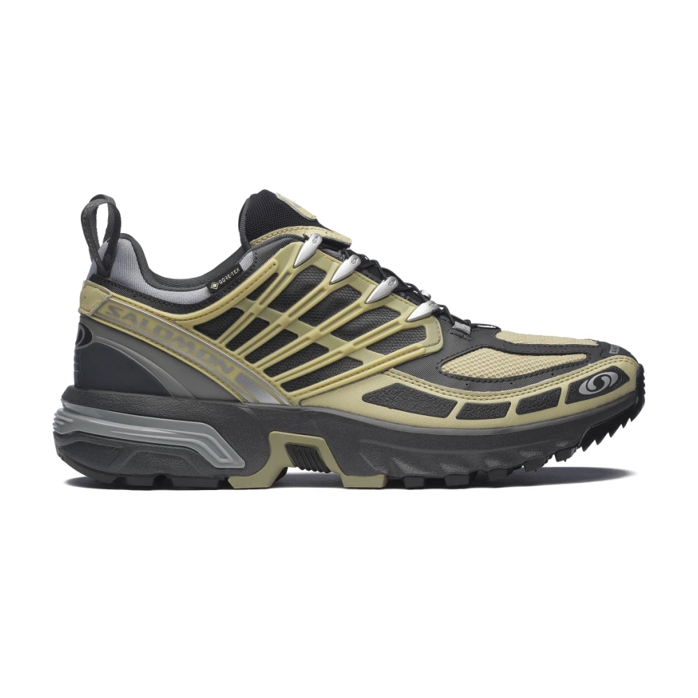 Salomon Acs Pro Gore-Tex 'Gray Green/ Asphal/ Mnmen'