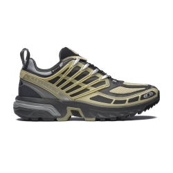 Salomon Acs Pro Gore-Tex 'Gray Green/ Asphal/ Mnmen'